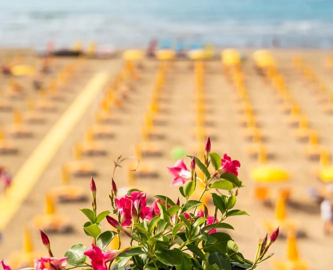 Hotel Gritti Lido di Jesolo